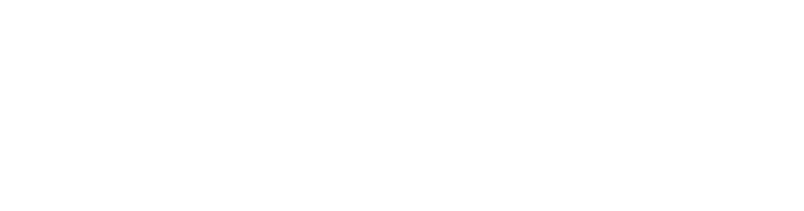 Skillfit
